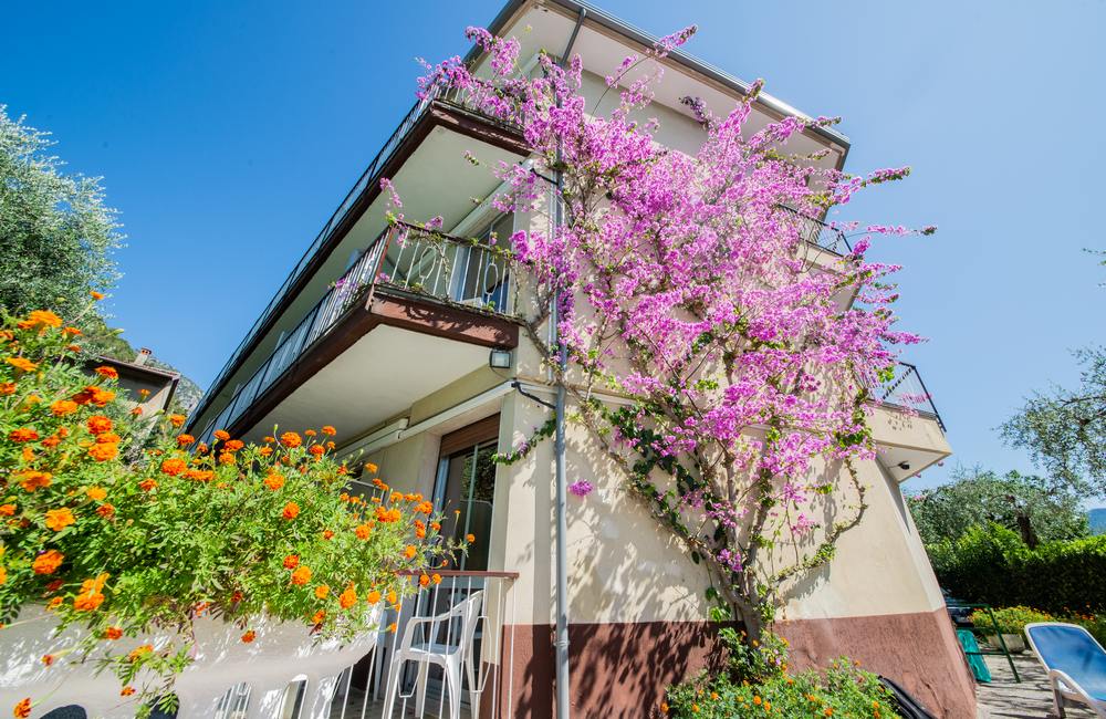 Hotel Garden di Risatti Italo & C. Snc | 3-Sterne-Hotel Limone sul Garda - Hotel Garden mit Pool
