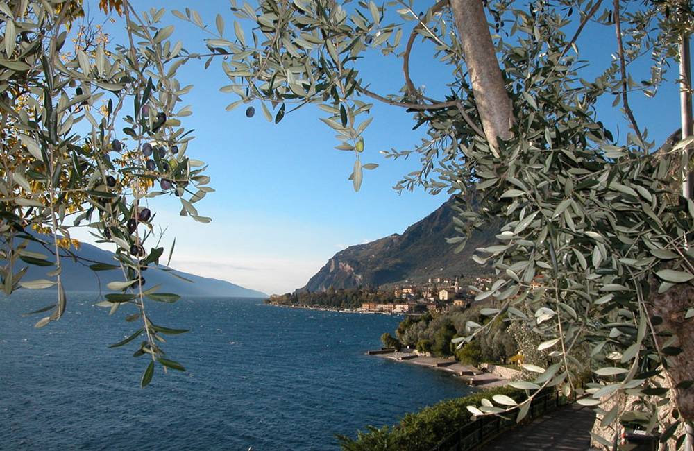 Hotel Garden di Risatti Italo & C. Snc | Limone sul Garda