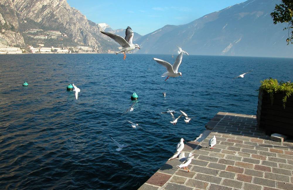 Hotel Garden di Risatti Italo & C. Snc | Limone sul Garda